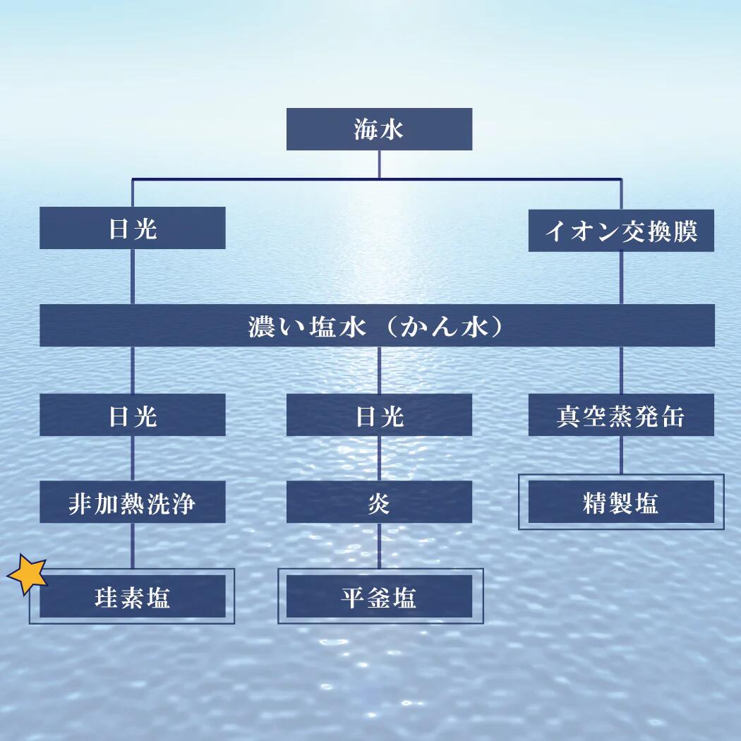 ケイ素塩 珪素塩 500g サラサラ ケイ素とカルシウム配合