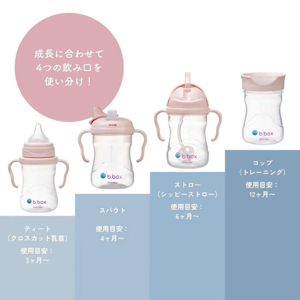 ステップアップマグ (哺乳びん コップ飲み スパウトマグ ストローマグ )4点セット