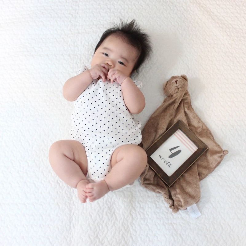 【★ギフトBOX入り】ベビタブ45錠 / ぞう:グレー:フラッフィー フード付 / アニマルブランキー 3点セット