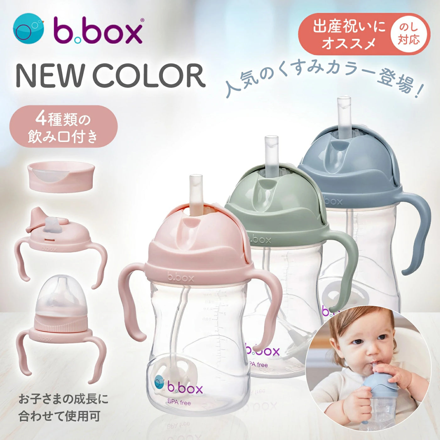 マニー福袋B 木製収納BOXとマニーローズマグプレート食器とティンアルメット缶 B.BOX ビーボックス ディズニー ステップアップマグパック (くま