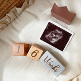 アマノッポ アニバーサリーつみき coccole story [cocory friends] 積み木 月齢フォト