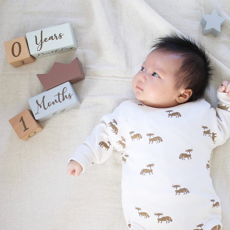 アマノッポ アニバーサリーつみき coccole story [cocory friends] 積み木 月齢フォト