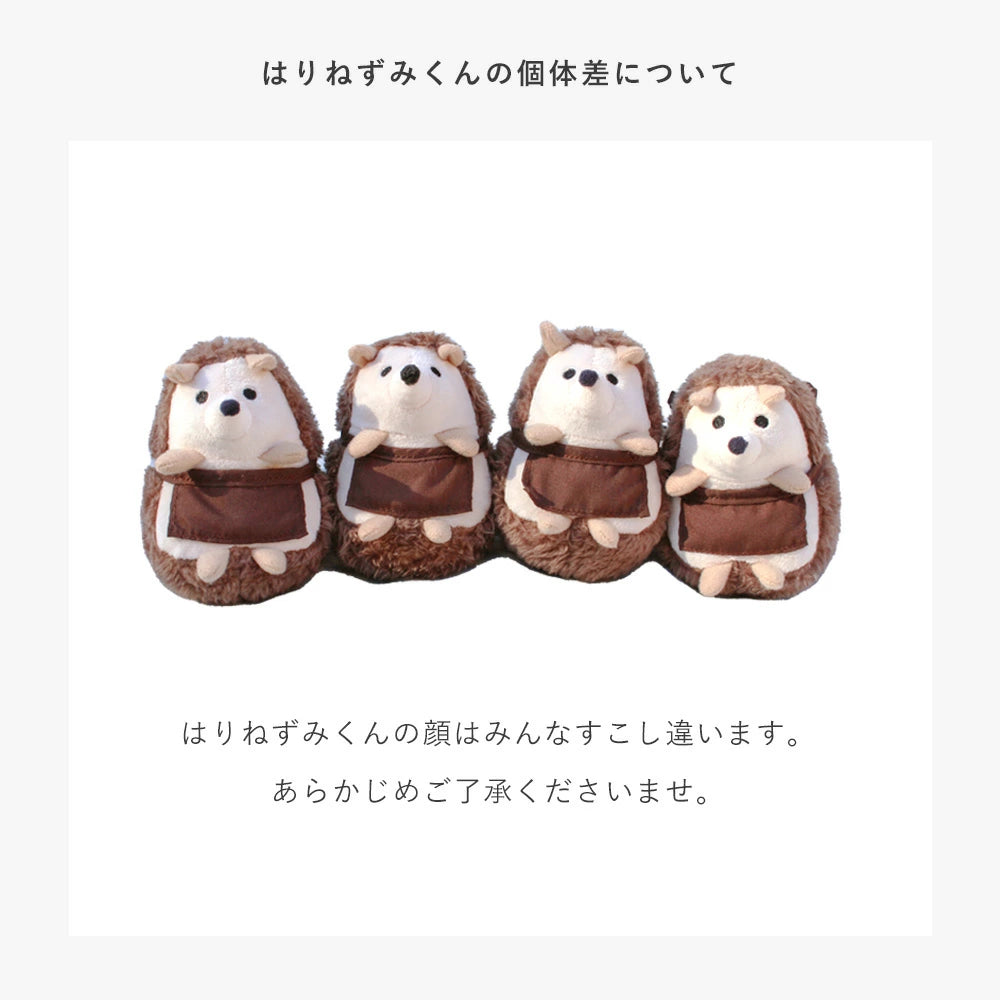 アマノッポ はりねずみくんとカップケーキ 絵本＆ぬいぐるみセット はりねずみ どうぶつ 動物 ファースト絵本 1歳児 1歳半 対象年齢1歳6ヶ月以上