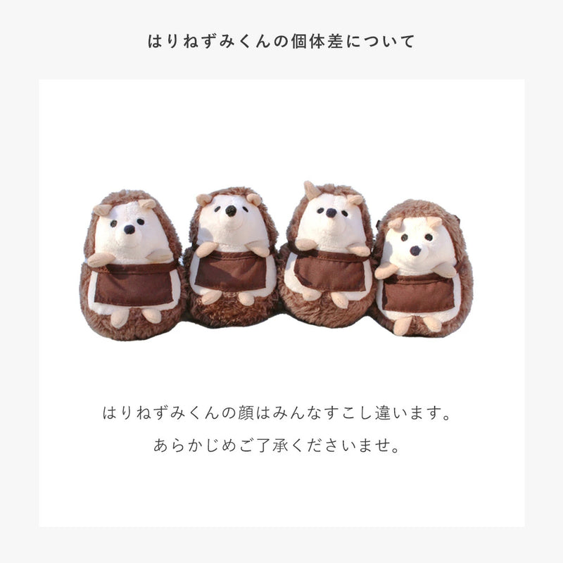 アマノッポ はりねずみくんとカップケーキ 絵本＆ぬいぐるみセット はりねずみ どうぶつ 動物 ファースト絵本 1歳児 1歳半 対象年齢1歳6ヶ月以上